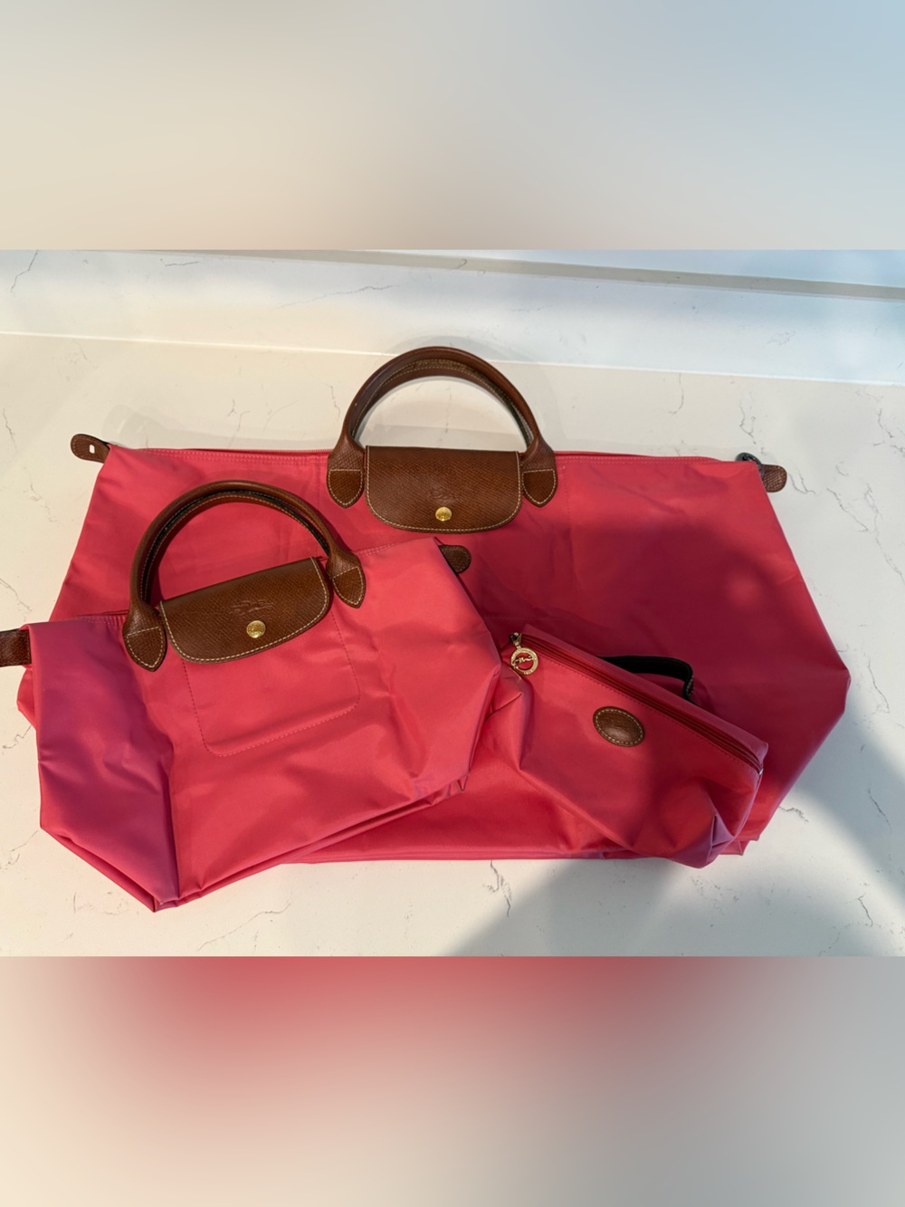 Longchamp Pink Totes with Brown Leather Trim 3-piece set